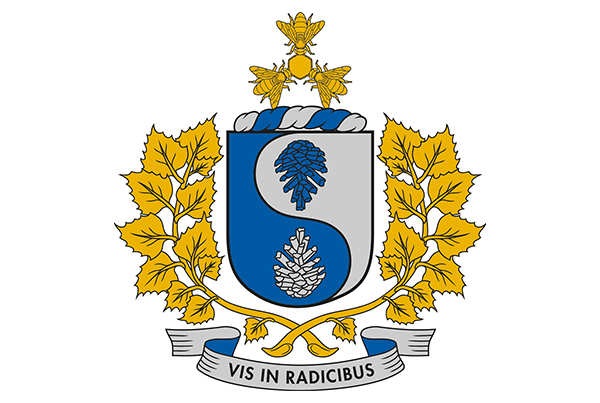 Šnepu dzimta